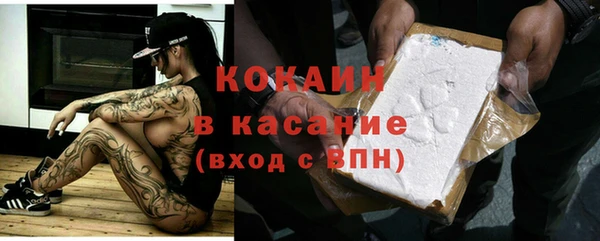 ГАЛЛЮЦИНОГЕННЫЕ ГРИБЫ Каменка