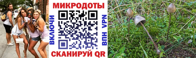 Галлюциногенные грибы Cubensis  Николаевск 
